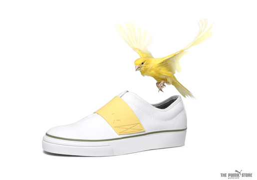 Puma Canary