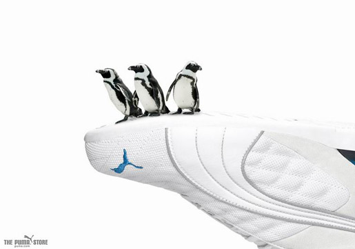 Puma Penguins