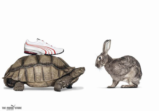 Puma Tortoise and Hare in TV Ad