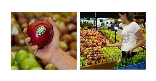 Apples in Hospital Do Cancer campaign