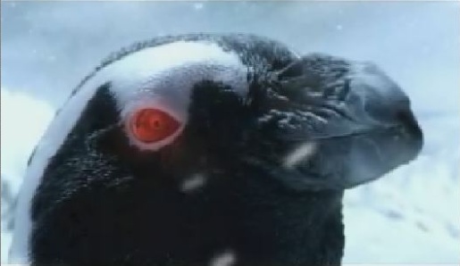 Penguin with red laser eye in Full Frame Festival commercial