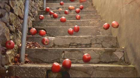 Apples bounce down stairs in Swansea