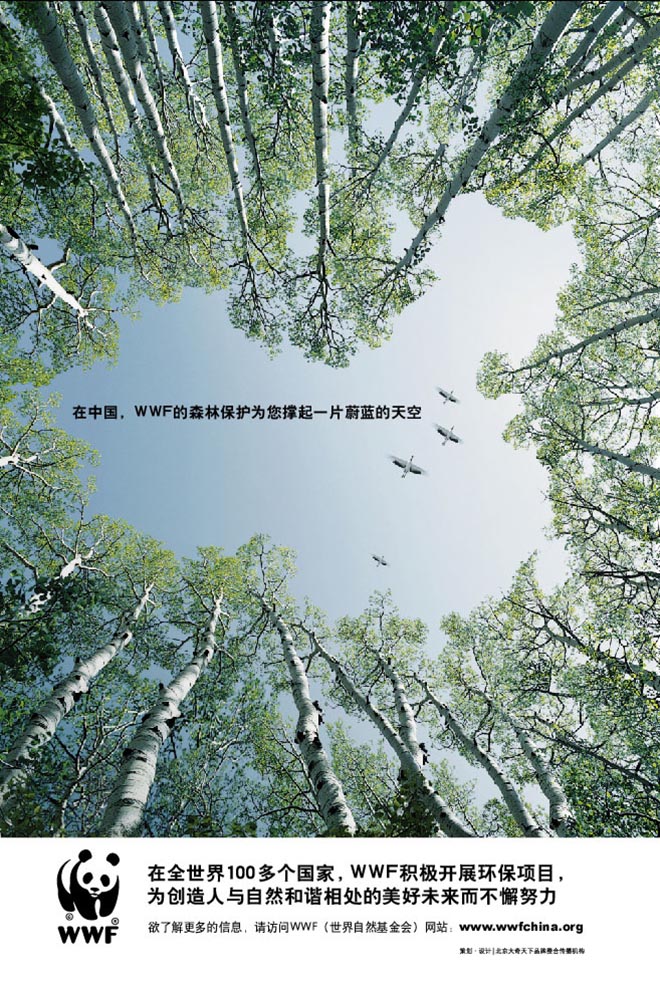 Birds fly over Congo forest in WWF China print ad