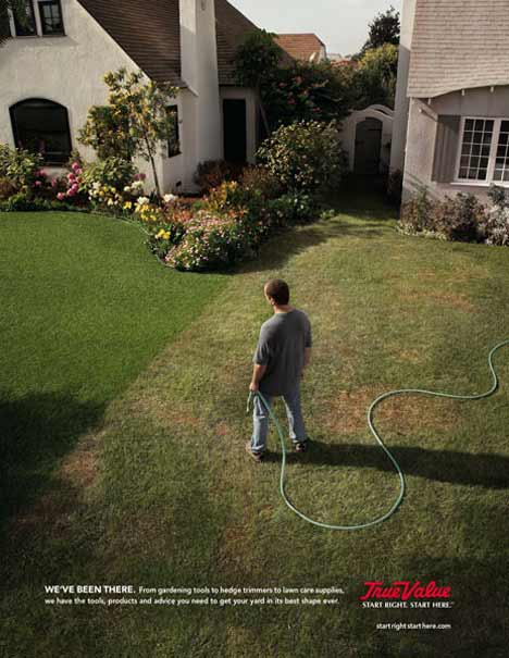 Man looks at his neighbor's lawn with envy