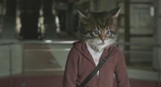 Ninja cat in Toyota Corolla advertisement