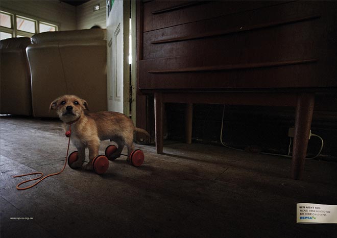 Dog as toy in RSPCA print advertisement