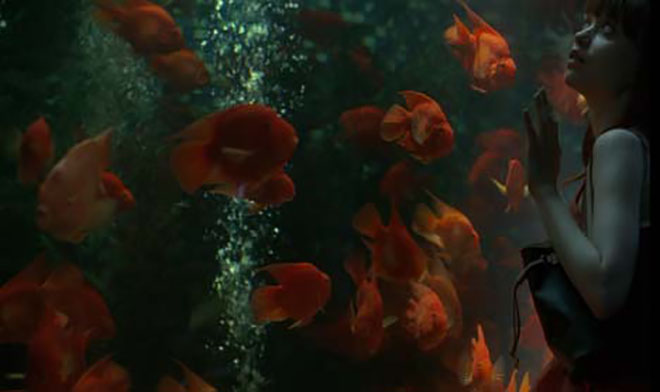 Woman looks through aquarium in Louis Vuitton Journey TV ad