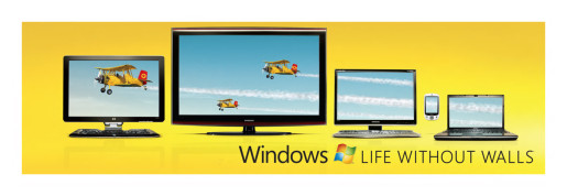 Bi-Planes in Windows without Walls out of home advertisement