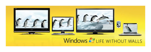 Penguins in Windows without Walls out of home advertisement